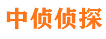 嘉峪关市侦探公司